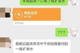 乐都如何避免债务纠纷？专业追讨公司教您应对之策